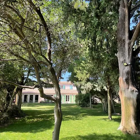 Πανσιόν Mas Hinaiti - Romantique Avec Et Ecran Geant De Cinema 4*