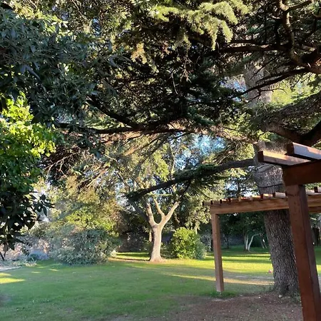 Mas Hinaiti - Romantique Avec Et Ecran Geant De Cinema Πανσιόν Μονπελιέ